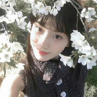 恋恋花颜御捕